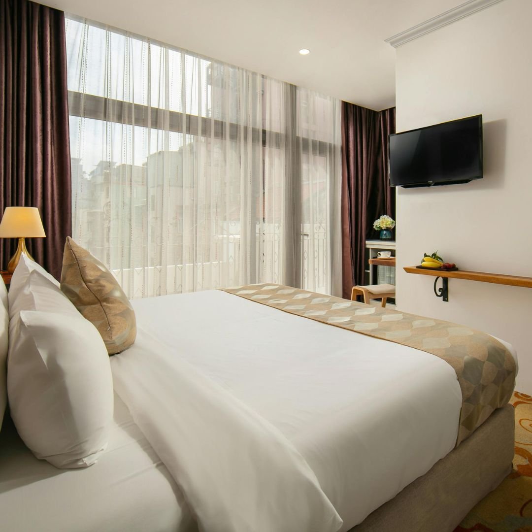 professional car interior bio cleaning service