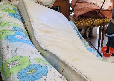 professional hygiene and bio cleaning services by Elite Bio Solutions