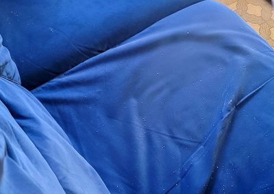 Elite Bio Solutions team specialized in biological cleaning